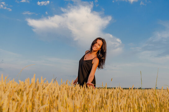 Beautiful woman with black hair on a wheat field. Dreamy look. Blue sky in the background.