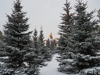 christmas tree with snow
