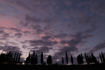 panorama al tramonto con cipressi