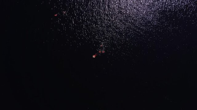 Amaz&ocirc;nia, Brasil