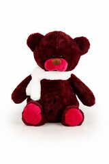 A teddy bear doll isolated on a white background