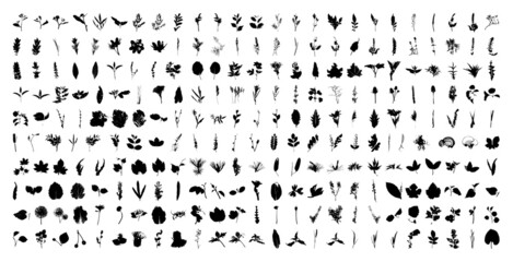 Collection of traced leaves and sprigs. Black prints of foliage. Vector design elements isolated on a white background. - obrazy, fototapety, plakaty