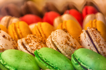 dolcetti
