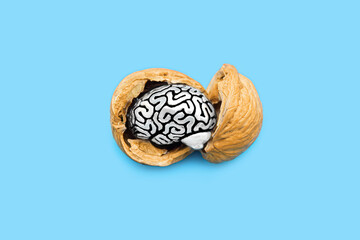 Miniature brain in a walnut shell