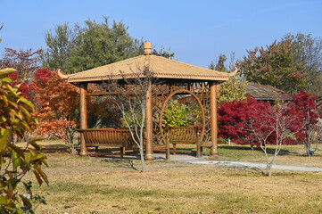 Fototapeta na wymiar Park with Japanese garden in the fall