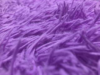 purple background