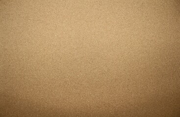 Corkboard texture and or background