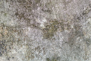 Texture Wall 05