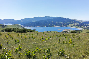 Fototapeta na wymiar Landscape with Belmeken Reservoir, Rila mountain, Bulgaria