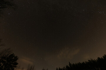 Fototapeta premium Night starry sky over the forest.