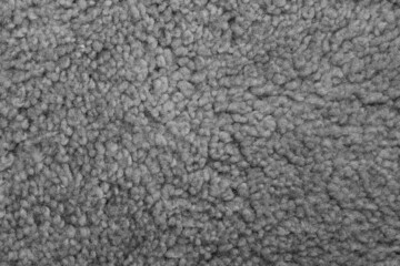 Texture of a soft gray carpet. Background.