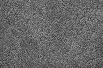 Texture of a soft gray carpet. Background.