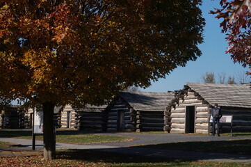 Naklejka premium Row of Log Cabins with Autumn Foliage on Sunny Day