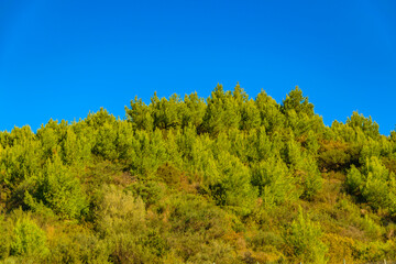 Olympia Landscape, Peloponesse, Greece