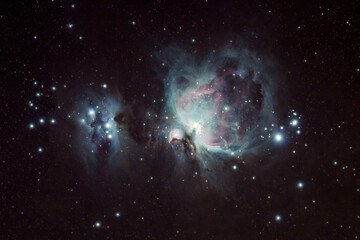 Obraz na płótnie Canvas M42 Orion Nebula