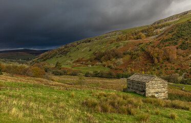 Fototapeta na wymiar Stormy winter skies over Swaledale. Stone barn or cow house with russet coloured bracken, trees and grasses. Keld, Yorkshire Dales, UK. Space for copy. Horizontal.