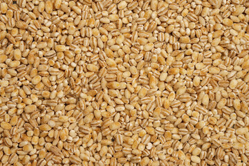 Pearl barley close-up for the whole frame. Pearl barley texture.