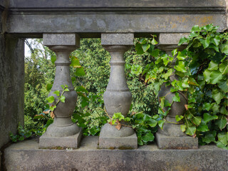Fototapeta premium Balustrade mit Efeu 