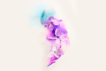 Obraz premium Creative image of pink and purple Hydrangea flowers on artistic ink background. Top view with copy space