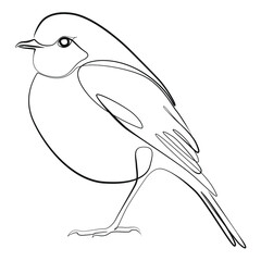 Bird close up, side view one line drawing on white isolated background. Vector illustration