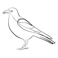 Crow close up, side view one line drawing on white isolated background. Vector illustration