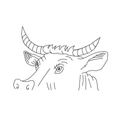 Black outline hand drawing vector illustration of a cow with horns isolated on a white background