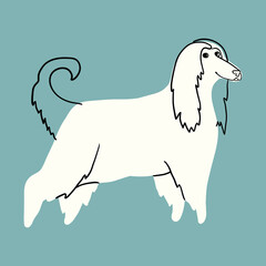 Vector illustration of an Afghan hound dog in doodle style on a separate background