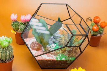 Fototapeta na wymiar Beautiful florarium with cactuses on the orange background