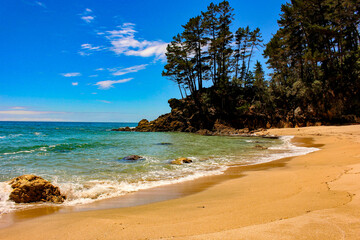 Beautiful private bay with emerald green water in New Zealand
