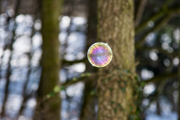 Farbenspiel fliegender Seifenblasen über Schnee und bei Sonnenschein