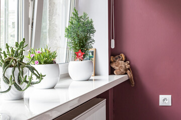 Beautifull decorative house plants and a toy on a white glossy windowsill, space for text