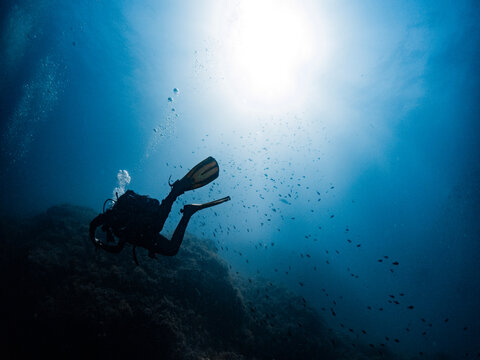 Fotograf&iacute;a submarina en la Reserva de Islas Hormigas, en Cabo de Palos, Murcia, Espa&ntilde;a.