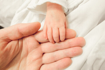 Fototapeta na wymiar Newborn baby holding father finger. Small hand of a newborn baby on dad’s hand. Close-up.