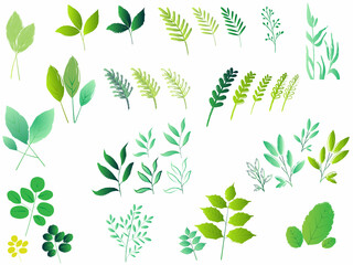 Set of watercolor wild leaves vector.Bundles of green botanical leaf clip art. Set of green leaves