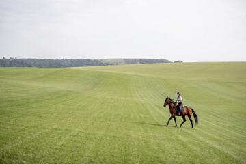 Side view of female horseman riding brown Thoroughbred horse on green meadow in countryside....