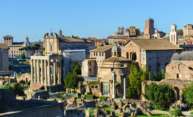 Fototapeta na wymiar Roman forum. Ruin. Rome. Italy.