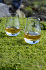Tasting of single malt or blended Scotch whisky and seabed at low tide with green algae and stones on background, private whisky tours in Scotland, UK
