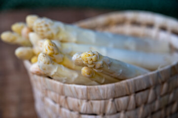 High quality fresh Dutch white asparagus vegetables ready to cook