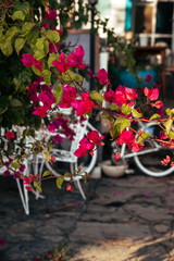 Fototapeta na wymiar Retro and vintage. A bicycle in a city cafe with flowers in the Provencal style.