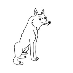 Obraz premium Hand drawn black vector illustration of a beautiful adult wolf isolated on a white background