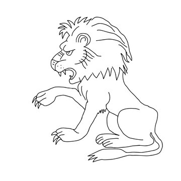 Hand drawn black vector illustration of a beautiful adult lion isolated on a white background