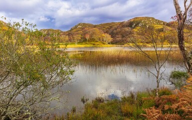 Loch an Ordain in Autumn with golden reeds, bracken and red rowan berries. A popular lochan for fly fishing. Lochinver, Assynt, Highlands of Scotland