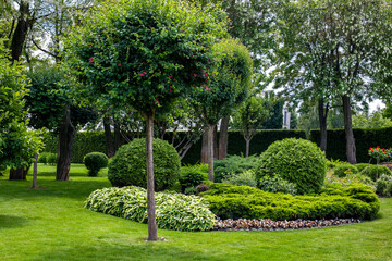 manicured park with green plants on a green lawn with a flower bed and trees in the garden for...