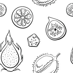 Seamless pattern with tropical fruit slices in black line sketchy style isolated on white background. Doodle hand drawn vector illustration