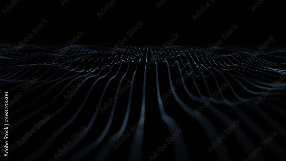 Wall mural wavy digital network white waving lines on black clean background. seamless loop minimalistic modern