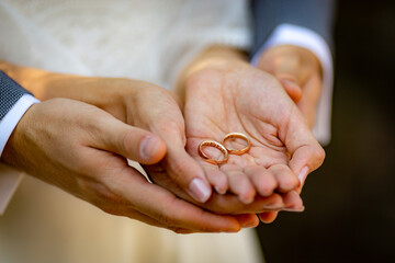 Female and male hands together show customized golden marriage rings close up - 468244725