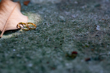 Two shiny wedding rings isolated on grungy surface by single autumn leaf