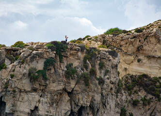Fototapeta premium Standing Tall - Malta