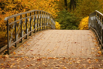 wooden bridge in the autumn park. beautiful landscape