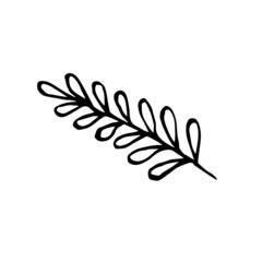 Fototapeta premium Sketch tropical leaf in line art style. Doodle outline jungle plant. Hand drawn exotic leaves vector illustration isolated on white background